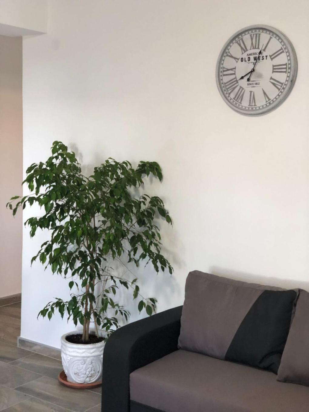 Apartments Milja - 10 M From Sea 曼德雷 外观 照片